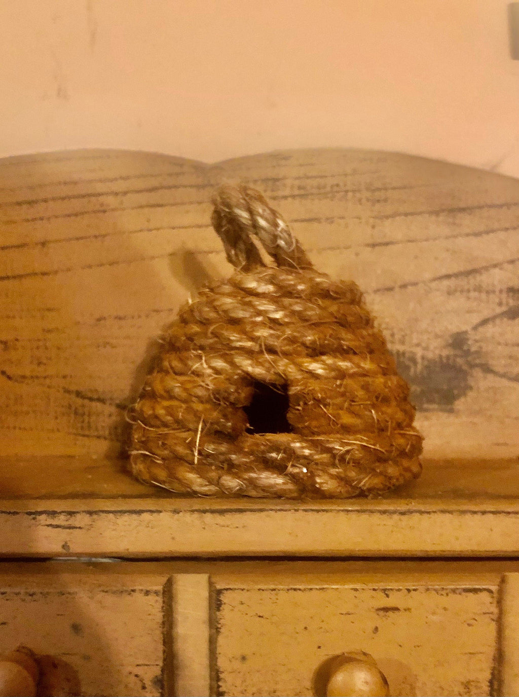 Primitive bee hive