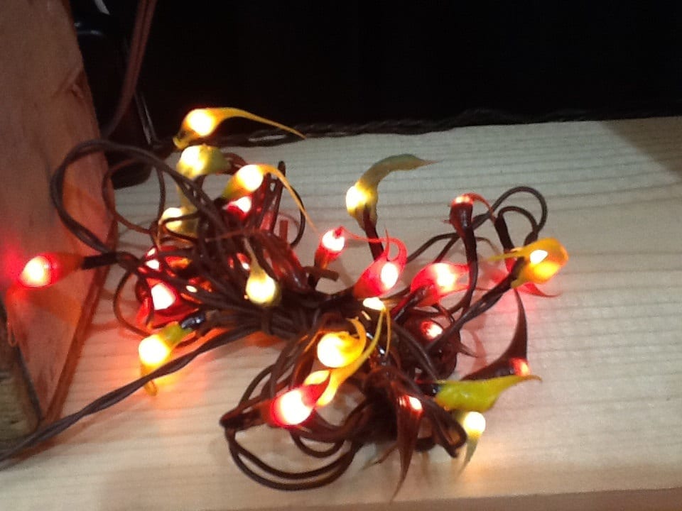 Electric hand dipped rice lights "fall mix"