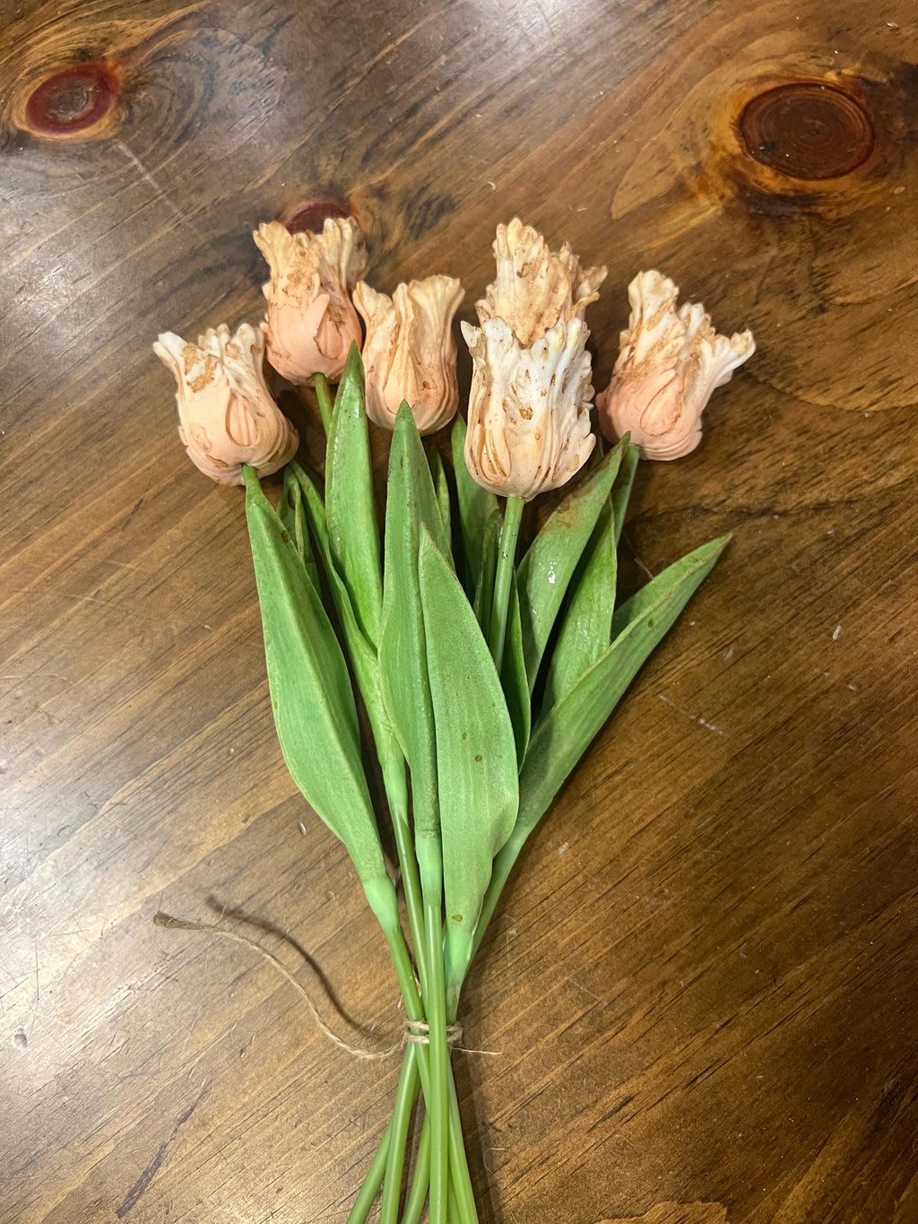 12” primitive grungy spring dyed set of frilly parrot tulips