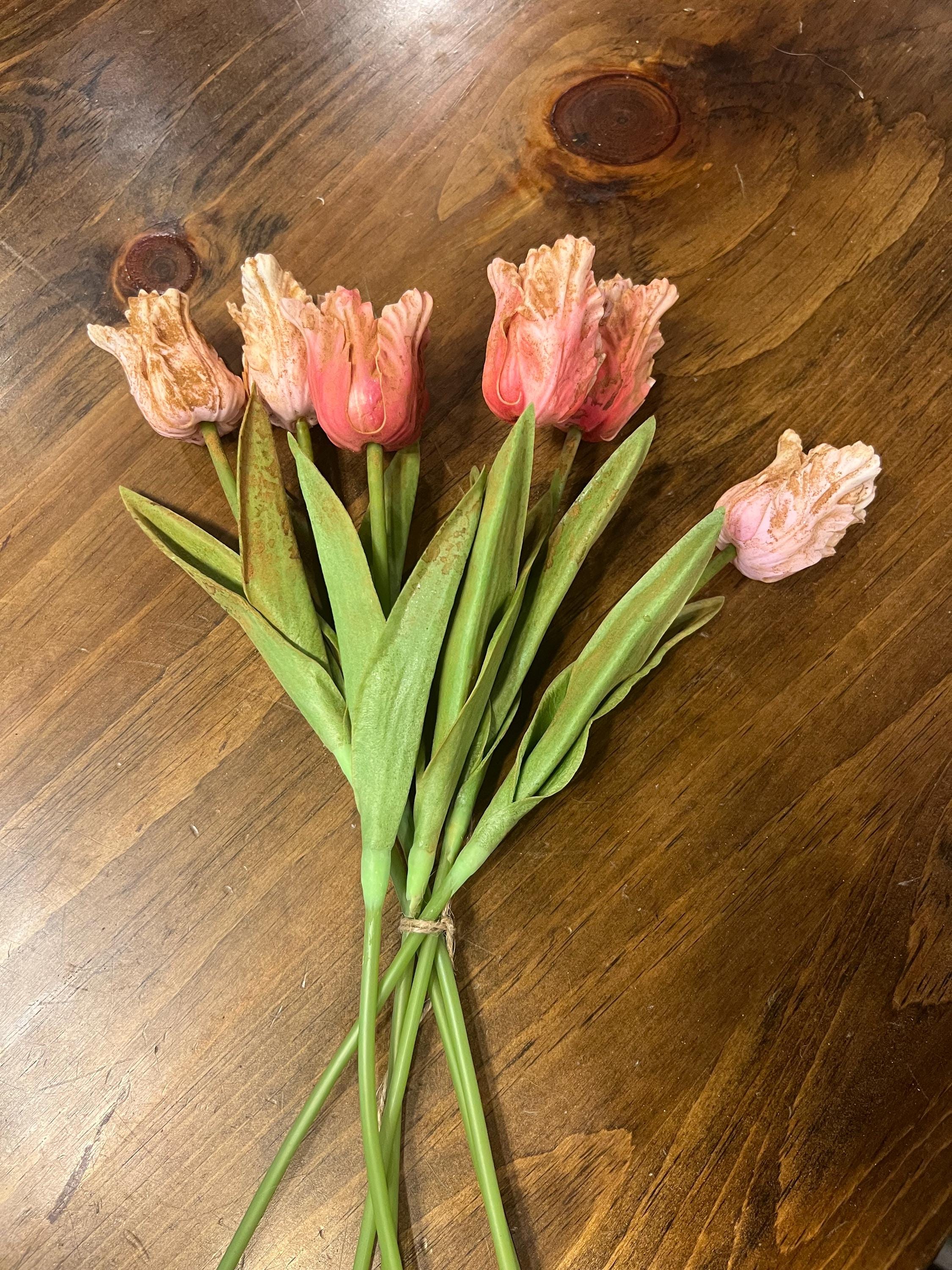 12” primitive grungy spring dyed set of frilly parrot tulips