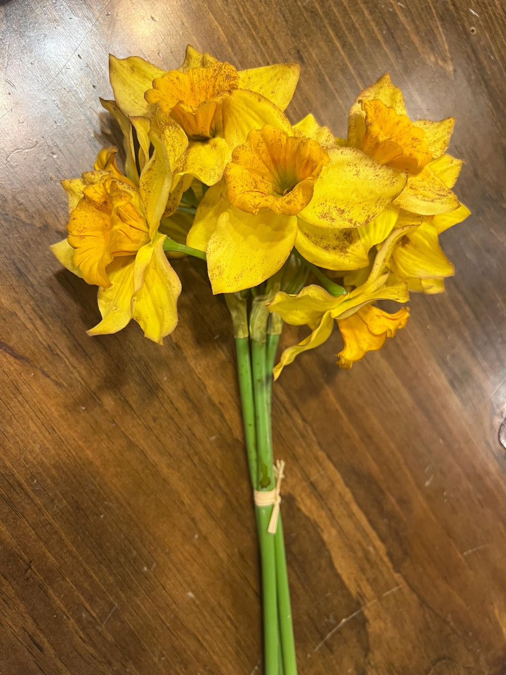 12” primitive grungy spring dyed set of tulips or daffodils