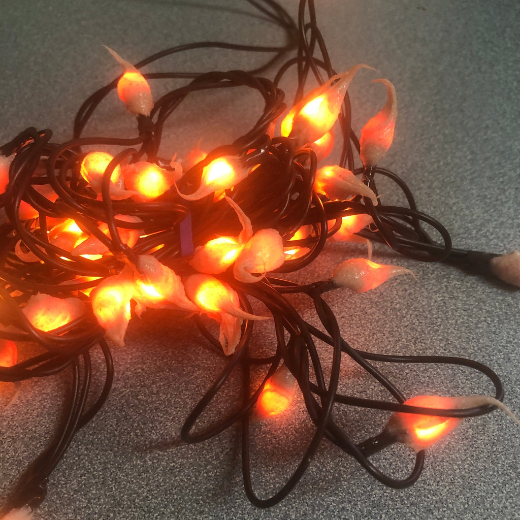 Battery operated timer hand dipped rice lights  “toasted orange”