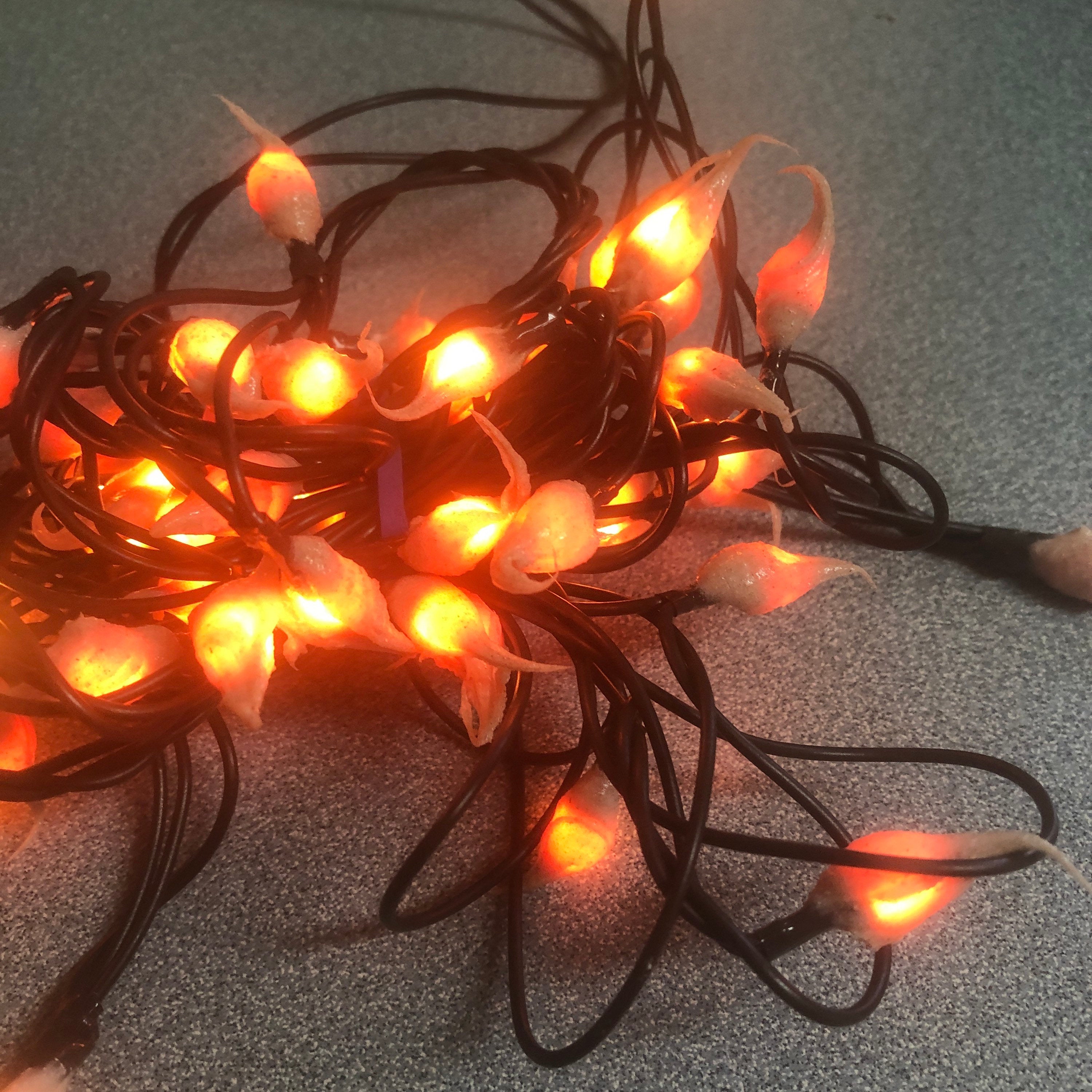 Battery operated timer hand dipped rice lights  “toasted orange”