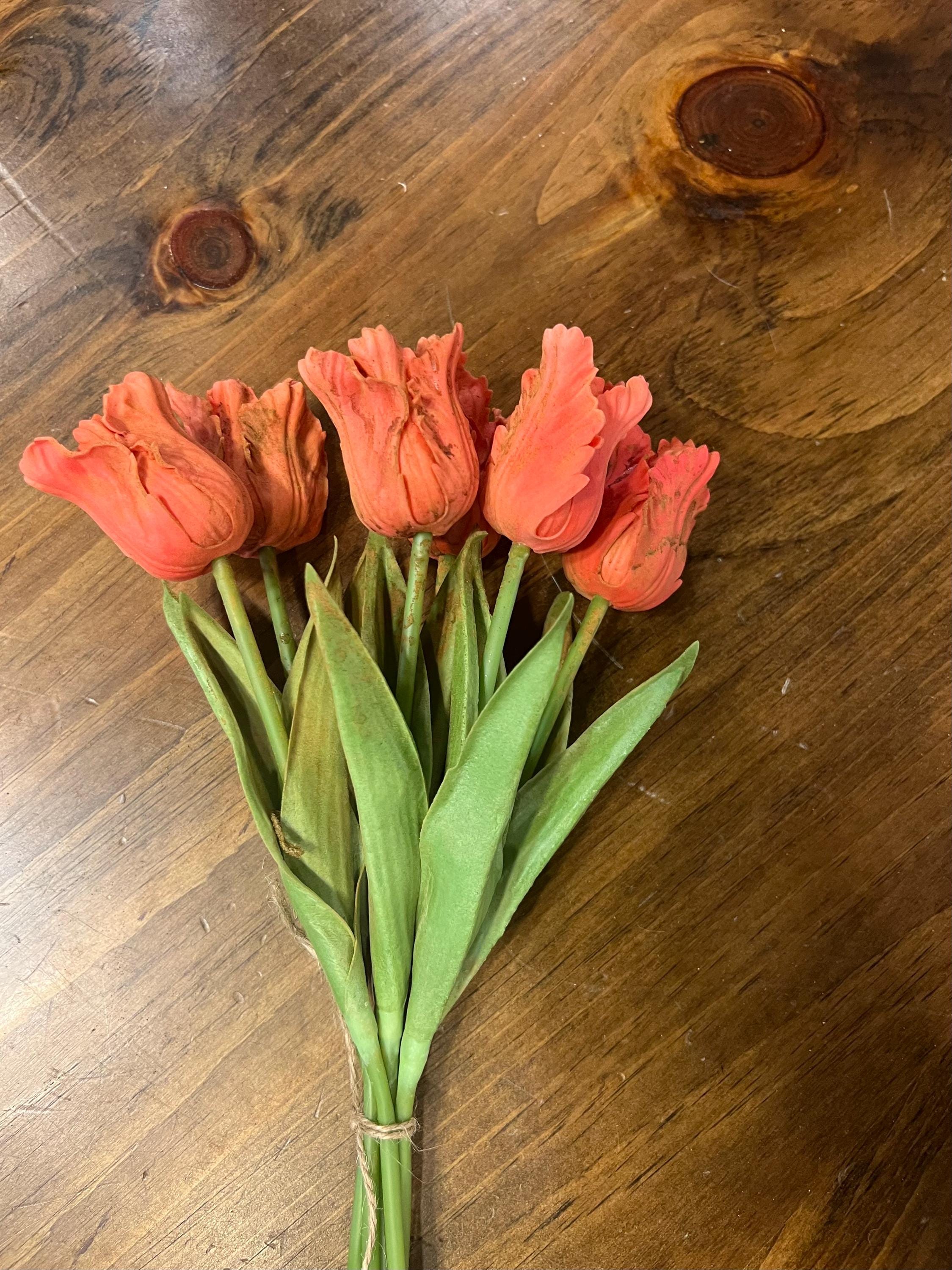 12” primitive grungy spring dyed set of frilly parrot tulips