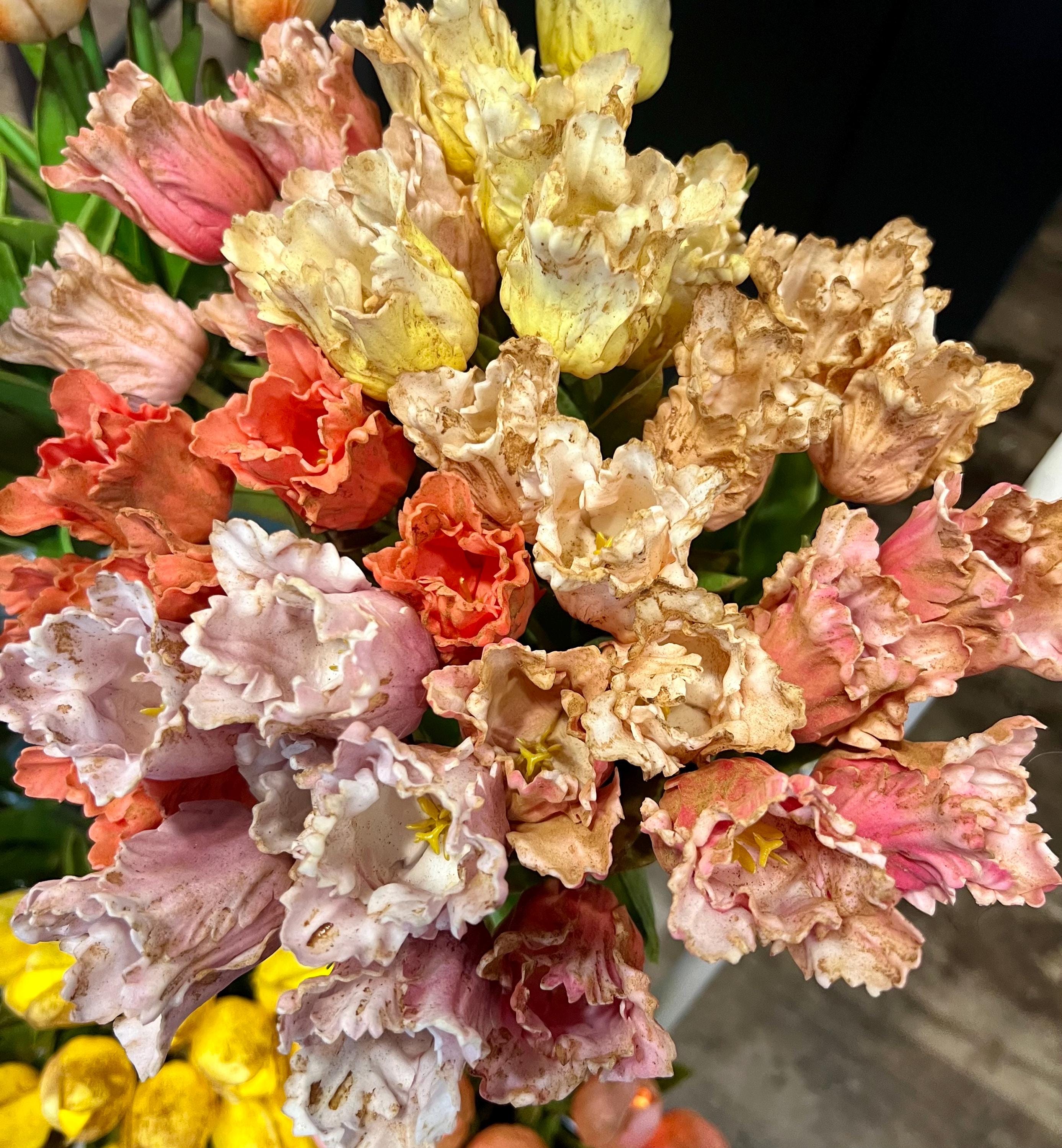 12” primitive grungy spring dyed set of frilly parrot tulips