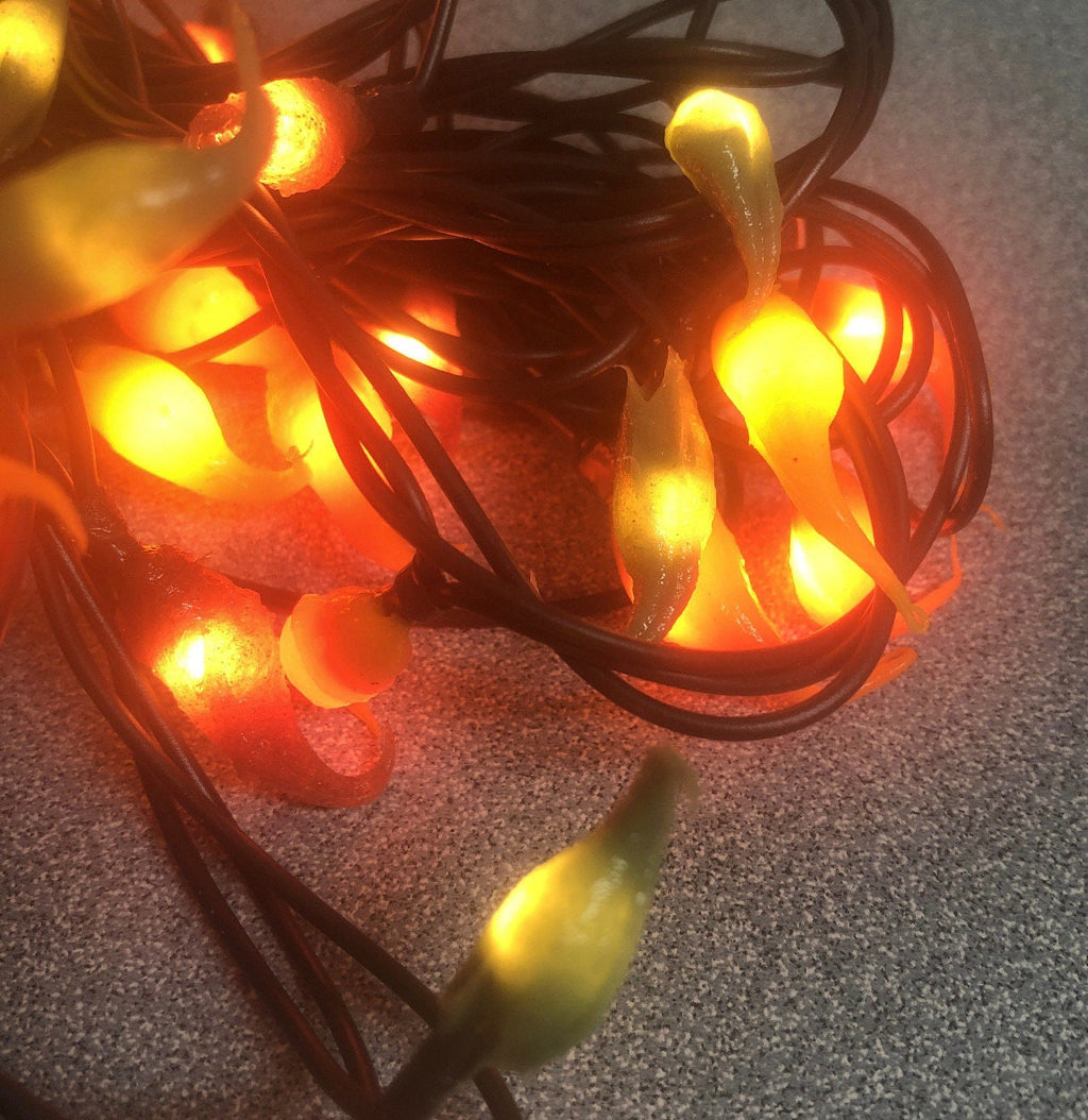 Battery operated timer hand dipped rice lights “fall mix”