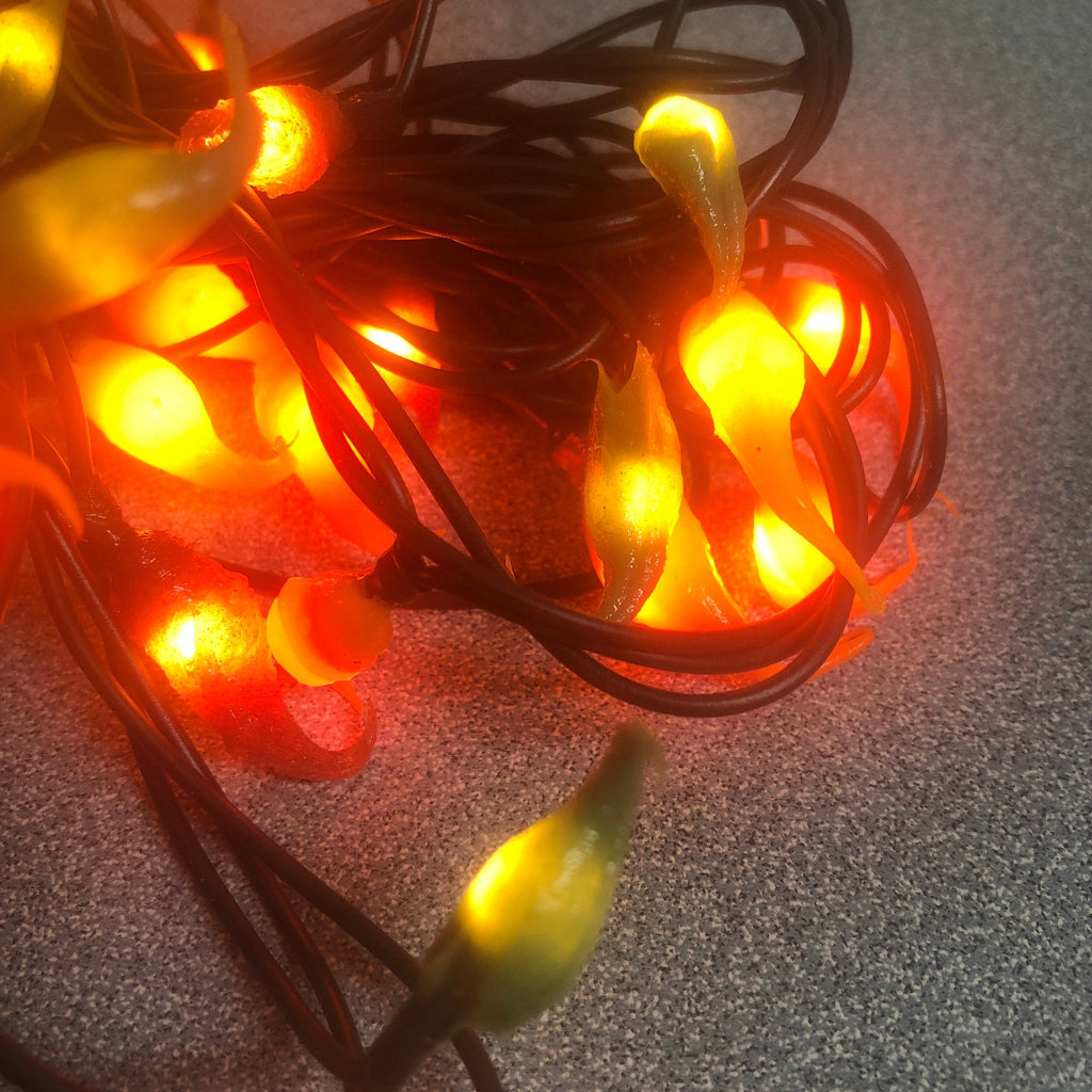 Electric hand dipped rice lights "fall mix"