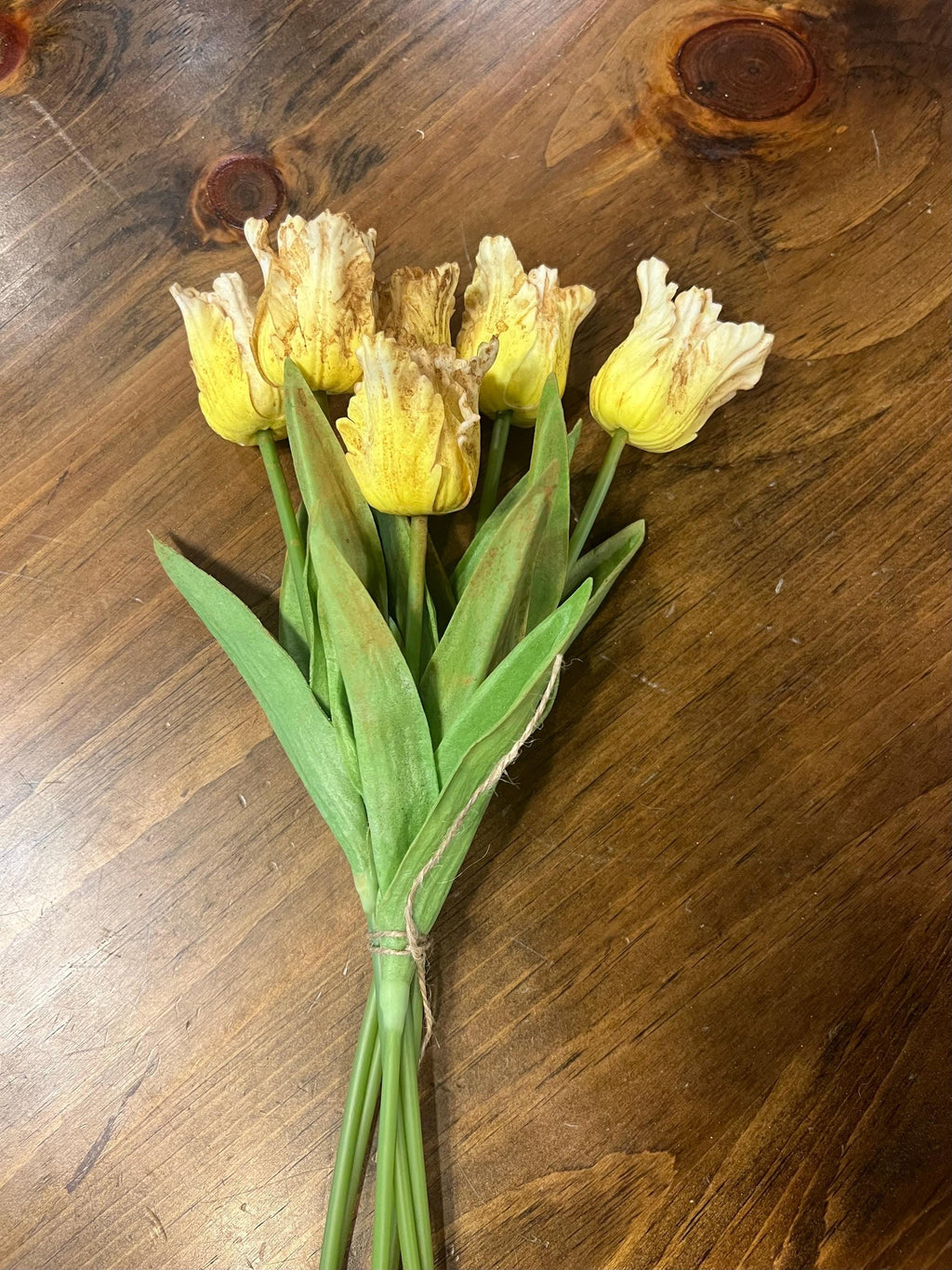12” primitive grungy spring dyed set of frilly parrot tulips