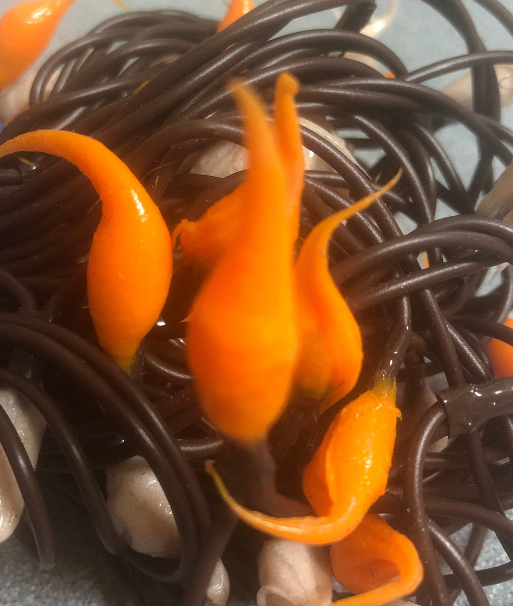 Battery operated timer hand dipped rice lights "pumpkin”