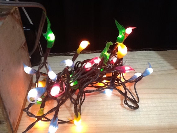 Electric hand dipped rice lights “spring”