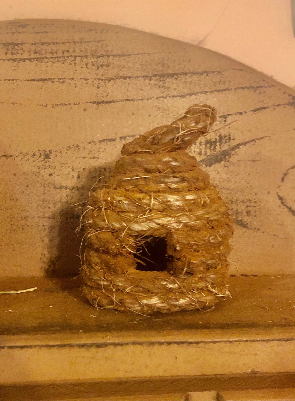 Primitive bee hive