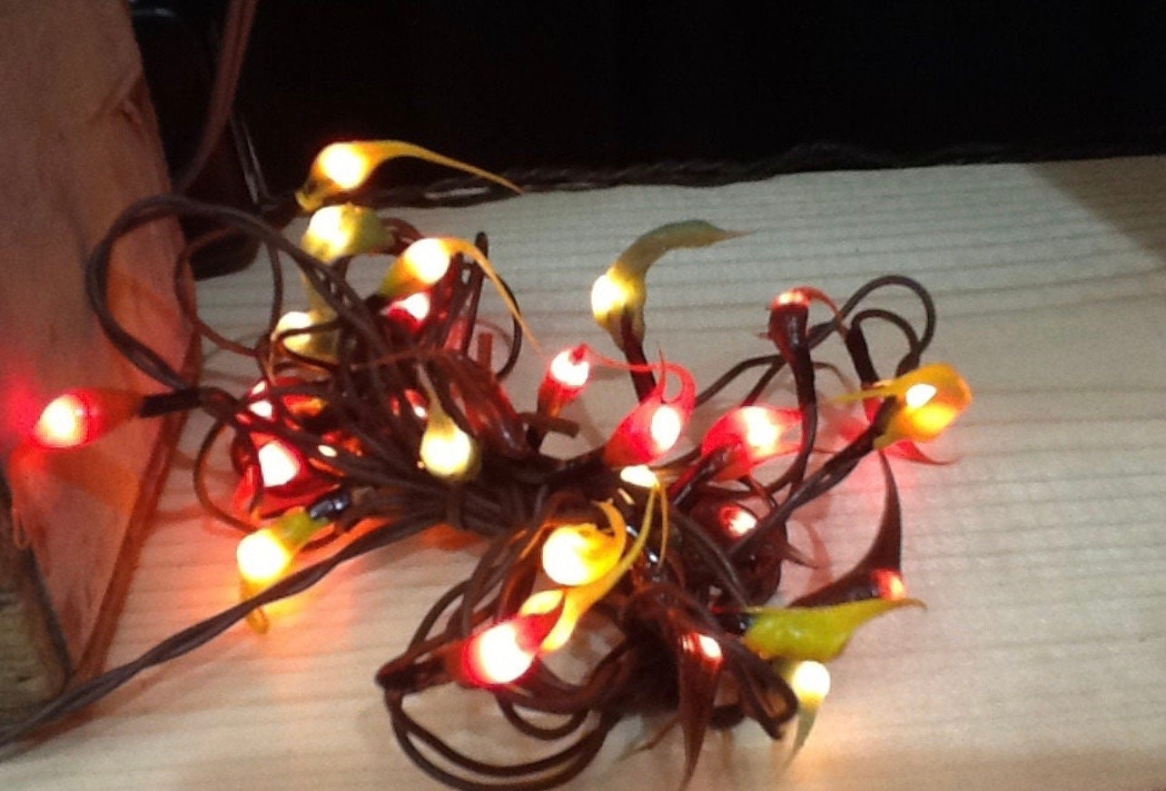 Battery operated timer hand dipped rice lights “fall mix”