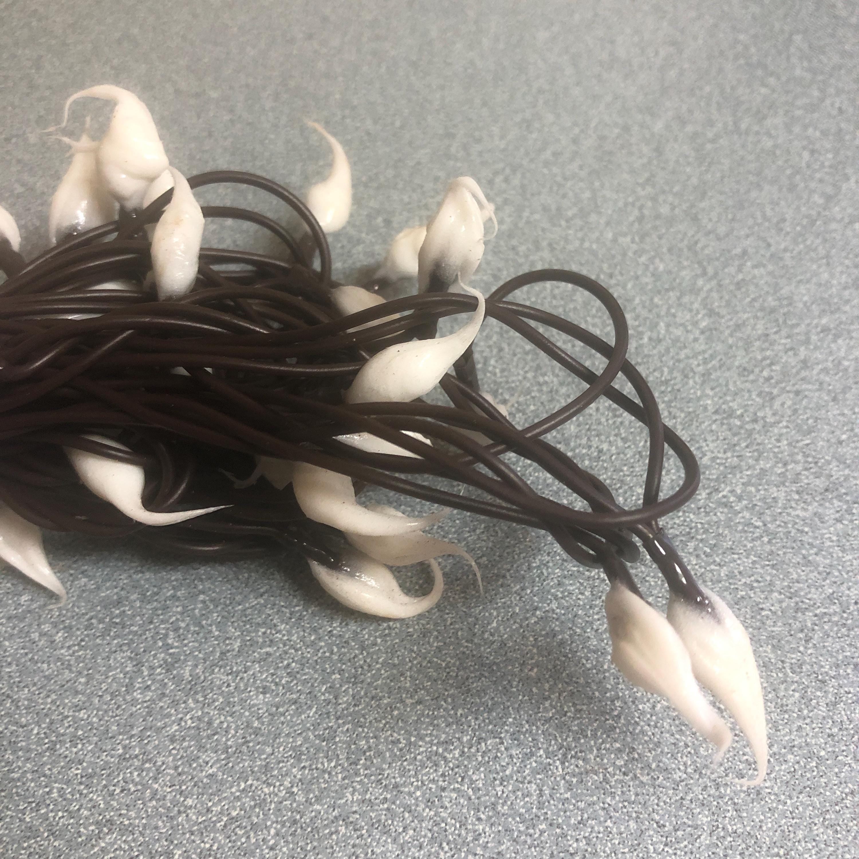 Battery operated timer hand dipped rice lights  “creamy white”