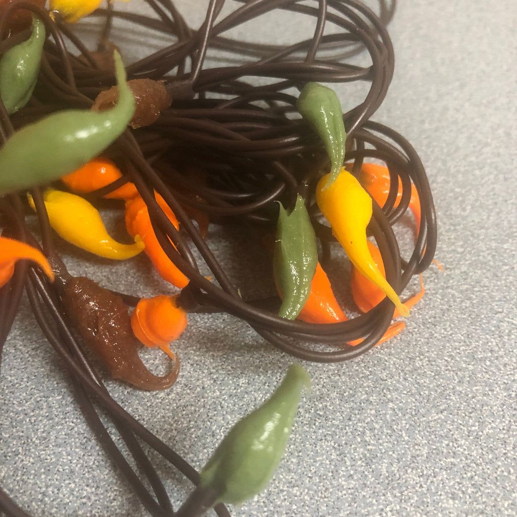 Electric hand dipped rice lights "fall mix"