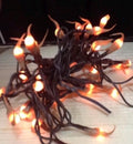 Battery operated timer hand dipped rice lights “nutmeg”
