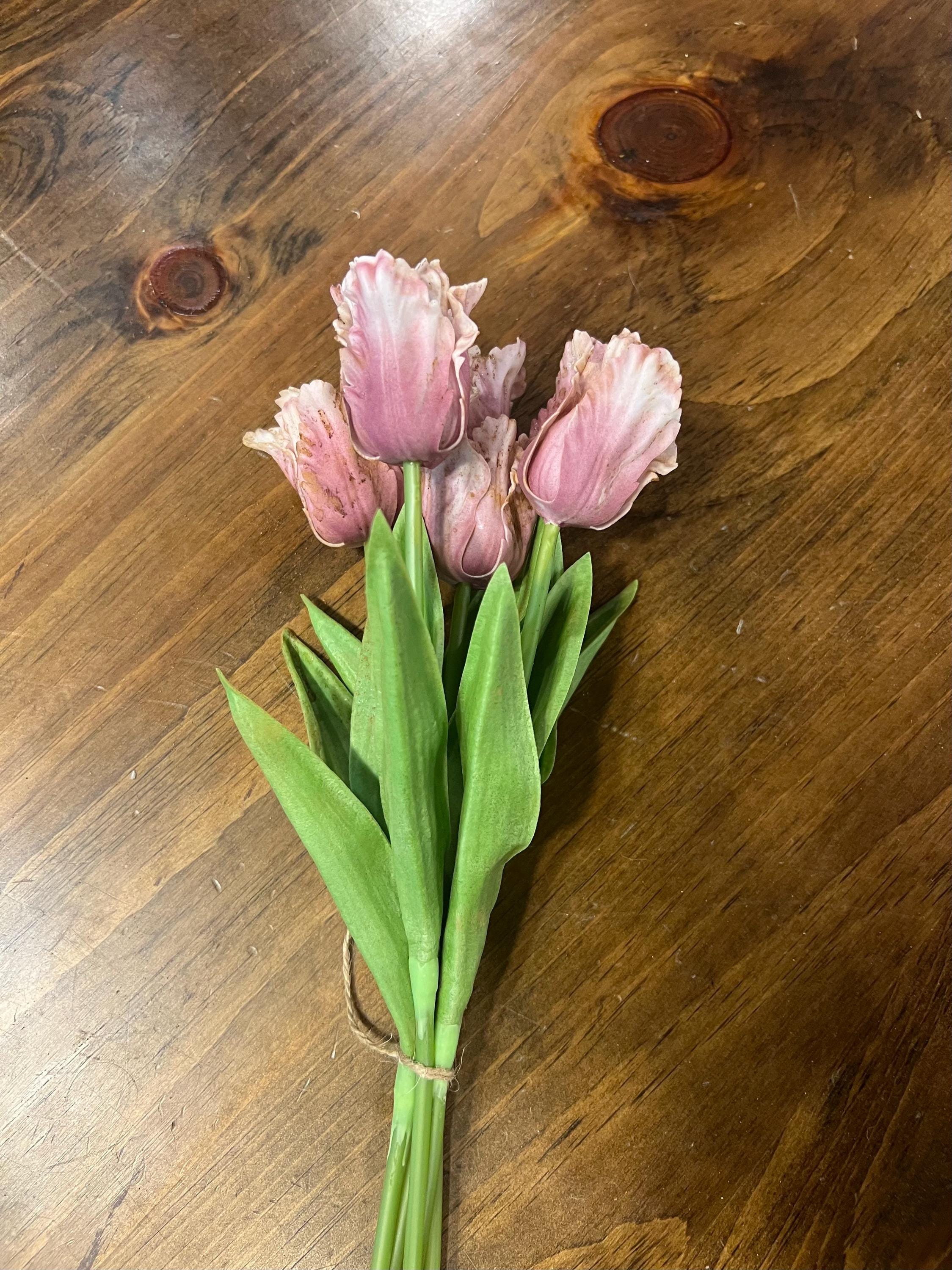 12” primitive grungy spring dyed set of frilly parrot tulips