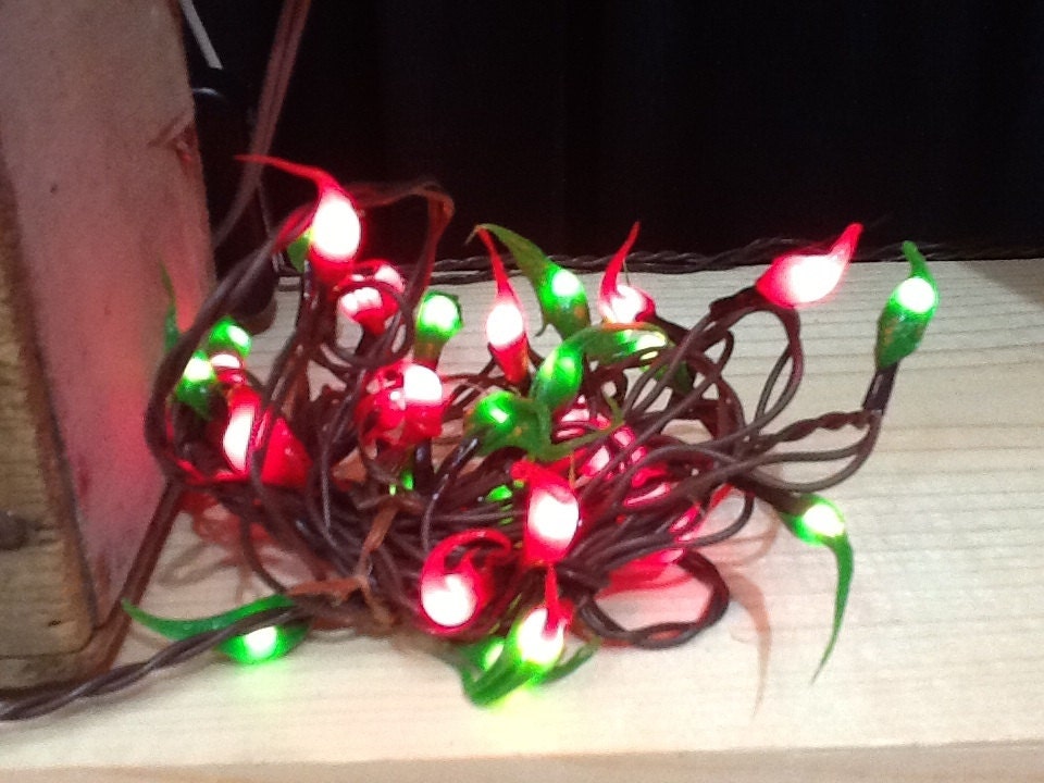 Electric hand dipped rice lights “red & green”