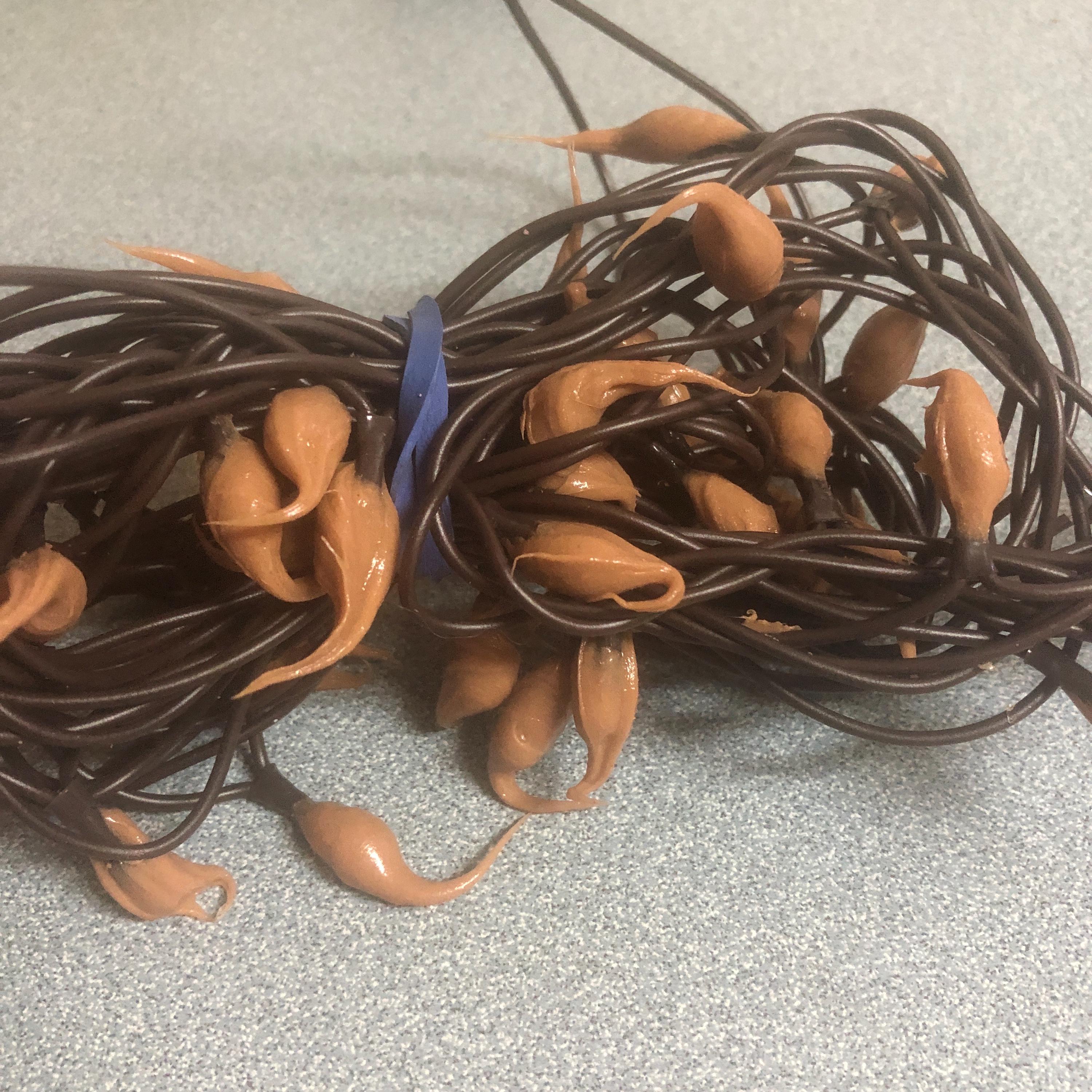 Battery operated timer hand dipped rice lights  “toasted orange”